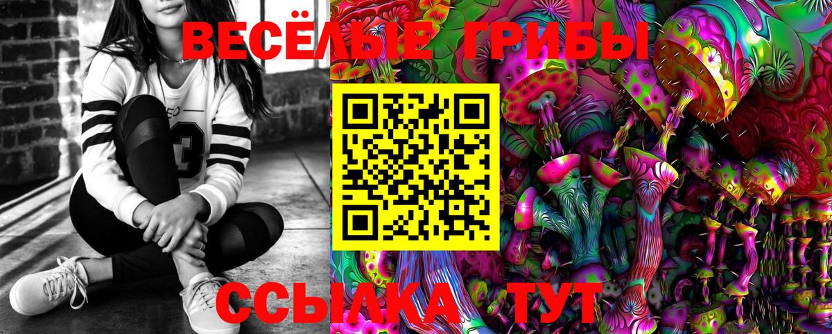 Псилоцибиновые грибы Psilocybine cubensis  Вход с VPN  Усть-Джегута 